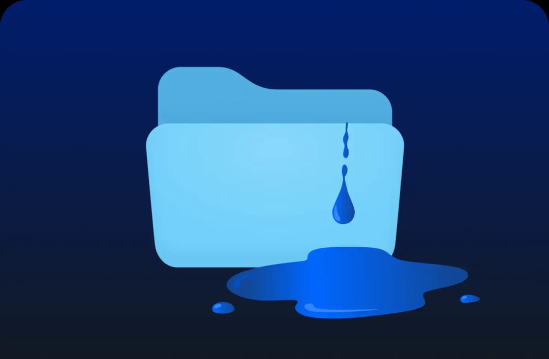 Avoid data leaks